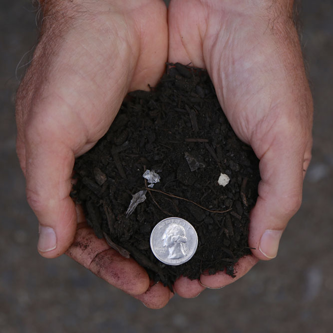 Compost (Cedar Grove)