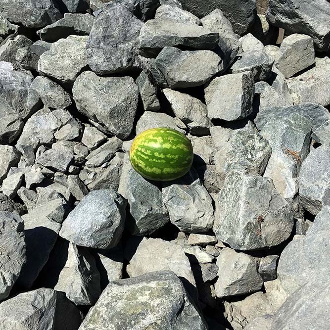 Half / One Man Quarry Rock