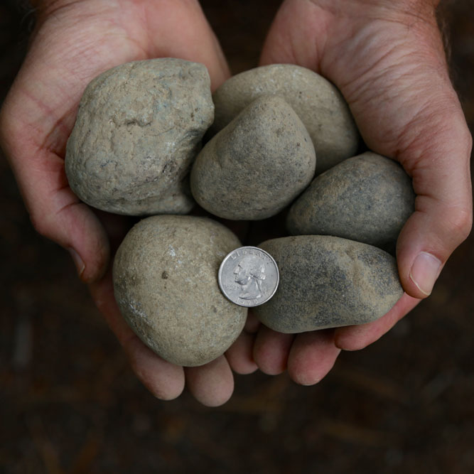 2” X 4” Round Rock